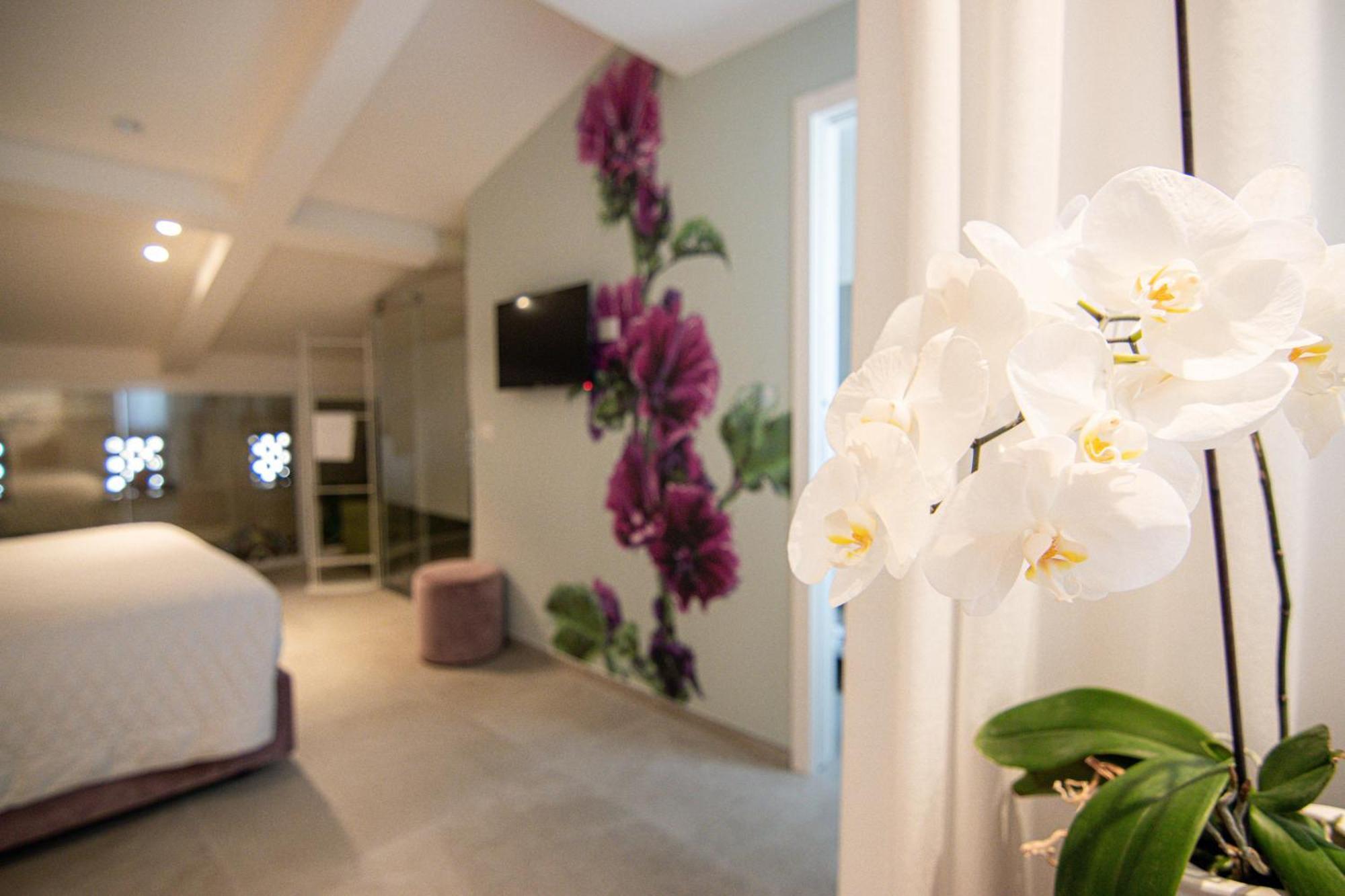 Profumi Di Primavera Luxury Rooms & Suite マテーラ エクステリア 写真